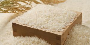 ExportRicePrices_260410