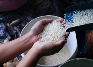 Export rice 07-04-2026