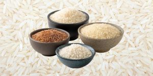 gia gao xuat khau cac nuoc