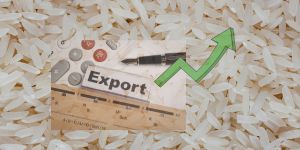 export rice prices