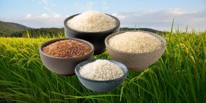 ExportRicePrices_VFA_260423