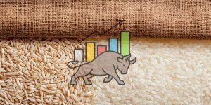 Export rice prices
