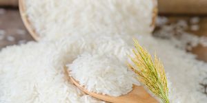 Export rice prices 260603