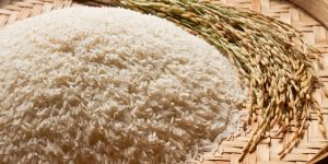 Export rice prices