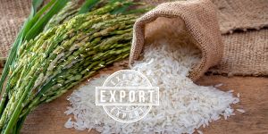 VFA_ExportRicePrices (5)